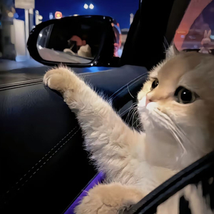 八戒宝藏库入口
