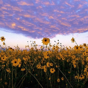 八戒宝藏库入口
